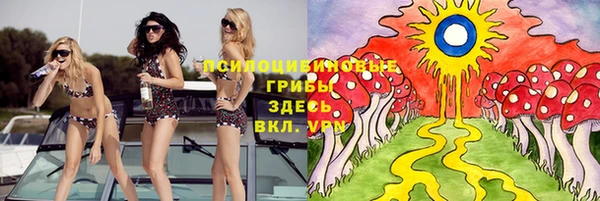 винт Абаза