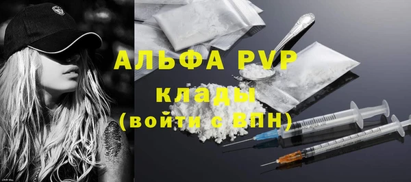 винт Абаза