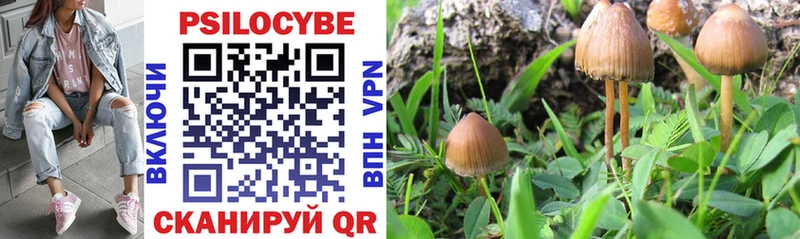 shop наркотические препараты Кудымкар Псилоцибиновые грибы ЛСД