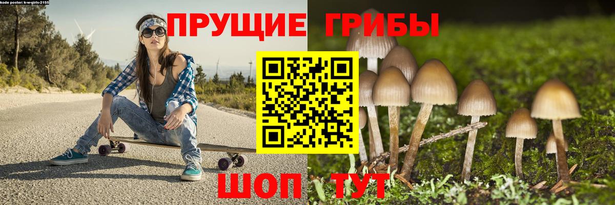 Псилоцибиновые грибы Cubensis  Вход с VPN  Кудымкар  Псилоцибиновые грибы прущие грибы 