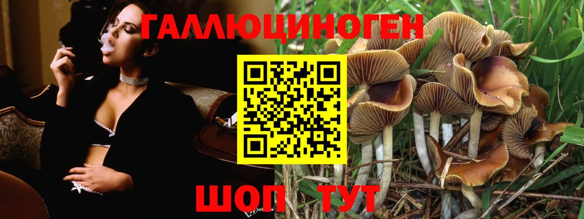 Псилоцибиновые грибы мицелий Кудымкар